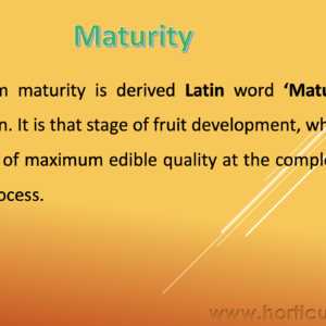 Maturity and Maturity Indices PPT